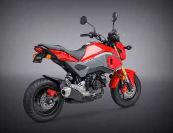 Honda Grom 125 [North America] '2017–pr.