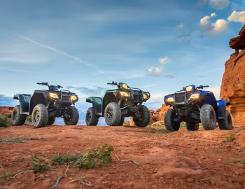 Honda FourTrax '2019–pr.