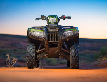 Honda FourTrax Foreman Rubicon '2019–pr.