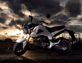 Honda MSX125 [Worldwide] '2013–14