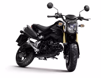 Honda MSX125 [Worldwide] '2013–14