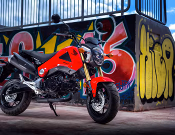 Honda MSX125 [Worldwide] '2013–14