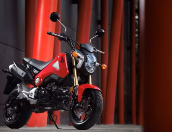 Honda MSX125 [Worldwide] '2013–14