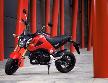 Honda MSX125 [Worldwide] '2013–14