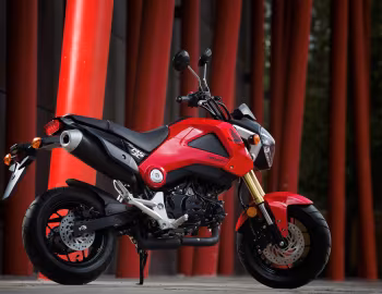 Honda MSX125 [Worldwide] '2013–14