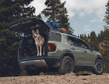 2026 Honda Passport TrailSport '2025–pr.