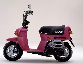 Honda Squash Standart '1981–????