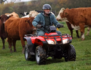 Honda TRX250TE '2014–pr.