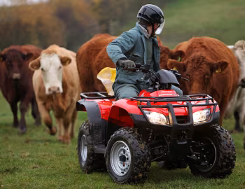 Honda TRX250TE '2014–pr.