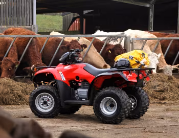 Honda TRX250TE '2014–pr.