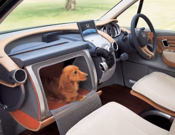 Interior Honda W.O.W Concept '10.2005