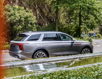Hongqi E-HS9 [China] (E115) '2020–н.в.
