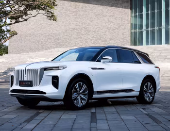 Hongqi E-HS9 [China] (E115) '2020–н.в.