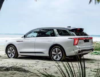 Hongqi E-HS9 [China] (E115) '2020–н.в.