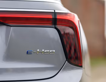 Hongqi E-HS9 [EU-spec] (E115) '2024–н.ч.