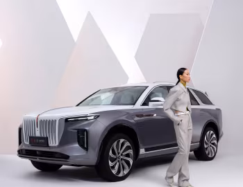 Hongqi E-HS9 [China] (E115) '2020–н.ч.