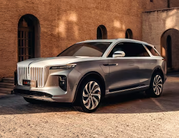 Hongqi E-HS9 [China] (E115) '2020–н.в.