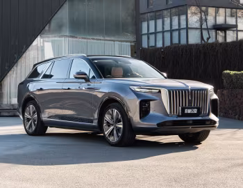 Hongqi E-HS9 [China] (E115) '2020–н.в.