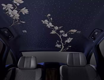 内饰 Hongqi H9+ "White Yulan" (C891) '2021–至今