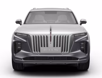 Hongqi E-HS9 [China] (E115) '2020–н.ч.