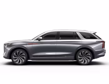 Hongqi E-HS9 [China] (E115) '2020–н.ч.