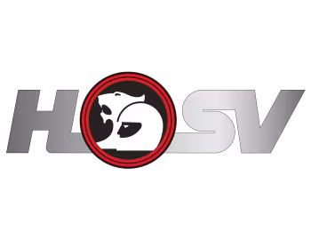 Логотип HSV