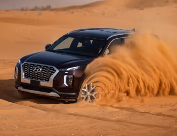 Hyundai Palisade [UAE] (LX2) '2020–22