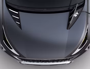 Hyundai SAGA EV '11.2018