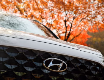 Hyundai Santa Fe Hybrid [South Korea] (TM) '06.2020–07.2023