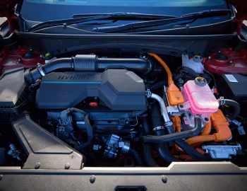 Sous la capuche Hyundai Tucson Hybrid N Line [Australia] (NX4) '2024–pr.