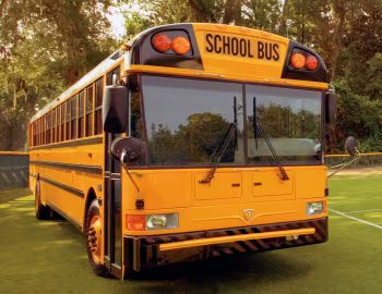 IC Bus RE School Bus '2001–н.в.