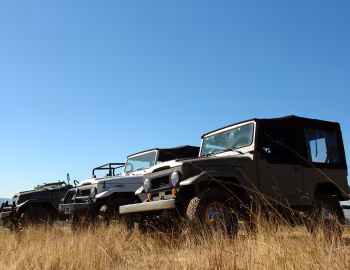 ICON Toyota Land Cruiser