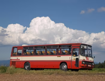 Ikarus 256 '1974–2002