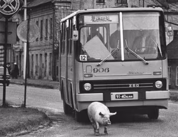 Ikarus 260.01 [USSR] '1972–84