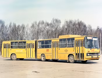 Ikarus 280.33 НАМИ [USSR] '1984–86