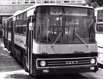 Ikarus 284.T1 (284T) '1983–84