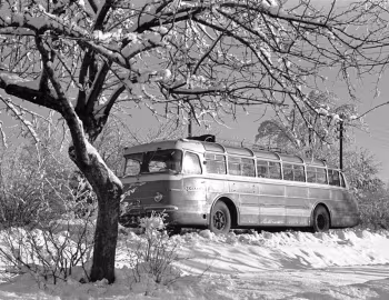 Ikarus 55 '1957–59