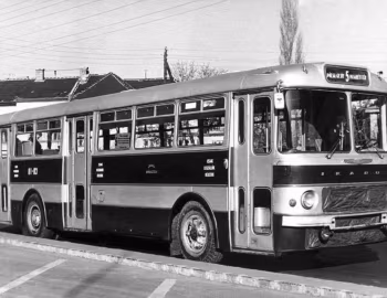 Ikarus 556 '1962–73