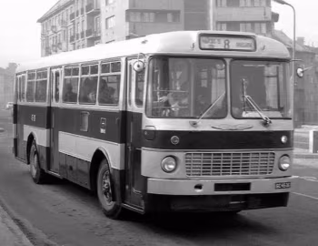 Ikarus 556 '1962–73
