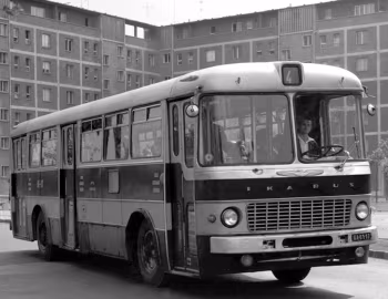 Ikarus 556 '1962–73