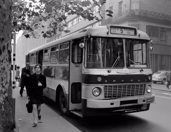 Ikarus 556 '1962–73