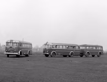 Ikarus 60 '1951–59