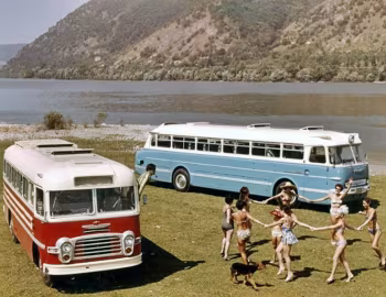 Ikarus 31 & 55