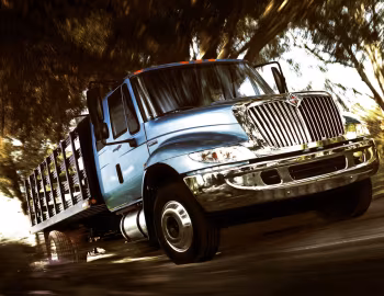 International DuraStar 4200 '2001–18