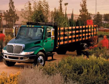 International DuraStar 4300 '2002–18