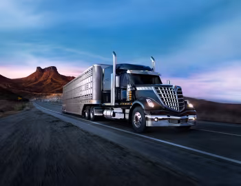 International LoneStar '2009–24