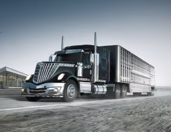 International LoneStar '2009–24