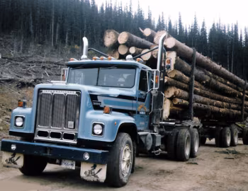 International PayStar 5000 6×4 Tractor '1984