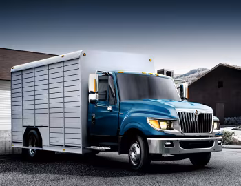 International TerraStar '2010–15