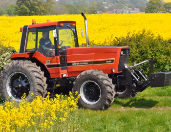 International Harvester 5288 '1981–85